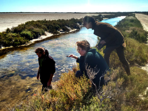 Hugo Fontes, Henriette Waal et Maartje Dros dans la Camargue