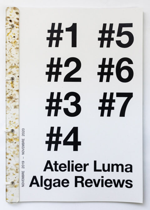 Algae Review, the publication of the Algae Platform, © Adrian Deweerdt