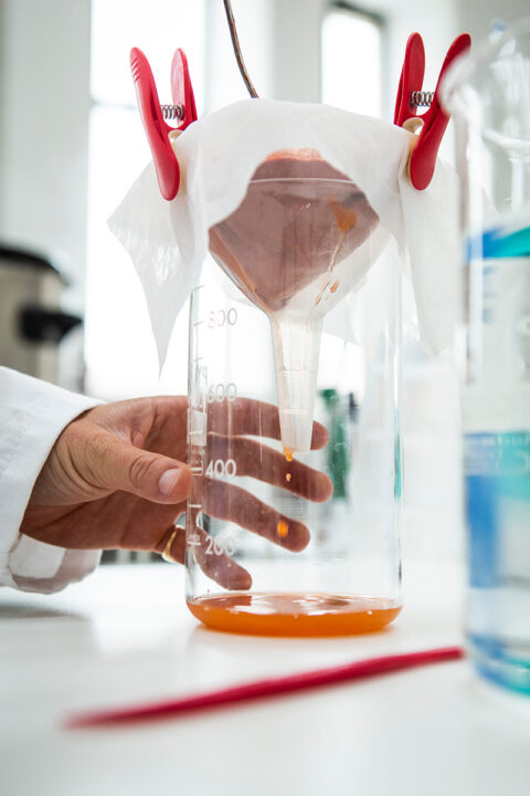 Extraction du pigment de la micro-algue Dunaliella Salina dans le bio lab Micro Cultures, © Joana Luz