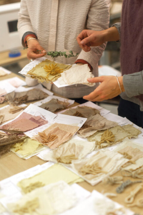 Echantillons de teintures textiles à base de plantes invasives locales., © Joana Luz