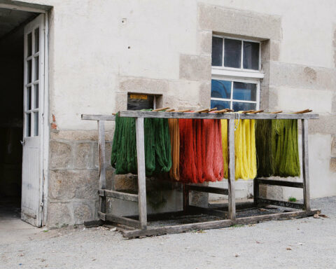 Recherche de couleurs en teinture végétale pour le projet Tutti Frutti et les projets de la Tour LUMA, © Max Félix