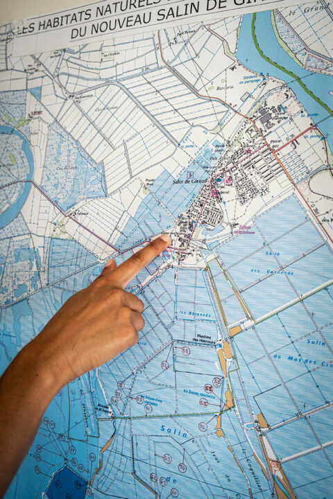 Carte des salins de Camargue dans le delta du Rhône, © Adrian Deweerdt