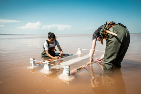 Essais de cristallisation dans les salins de Camargue avec la designer Karlijn Sijbel, © Adrian Deweerdt